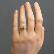 Noah James Jewellers Manchester Engagement Ring Gaia Round Brilliant Cut Scattered Diamond Shoulder Engagement Ring Platinum Lab Grown Diamond Moissanite